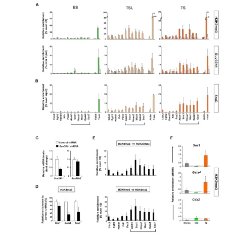 Fig. 5. Bivalent genes are targeted by Suv39h1-mediated H3K9me3 upon trophectoderm lineage commitment in vitro and in vivo.(fractions and IgG controls