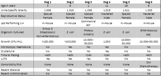 Table 3: Summary features of the six dogs with positive QUCs with quantification of bacterial growth reported as colony forming units (CFU/mL)