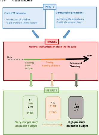 Figure 6: Model structure
