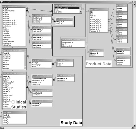 Figure 1: Implementation of the entity-relationship model in MS Access, 1:n relations are shown as 1: relations 