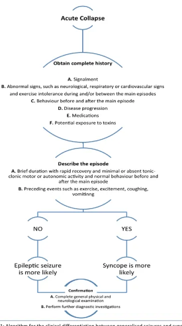 Figure 1: Algorithm for the clinical differentiation between generalised seizures and syncope