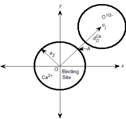 FIG. 4: A 2D sketch of the binding site with radius a2 and a neighboring O1/2−. The distance