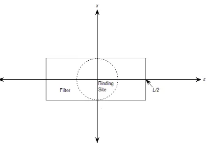 FIG. 3: Deﬁnition of the cylindrical ﬁlter contained in the solvent domain Ωs with length L and