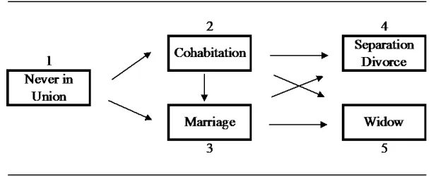 Figure 1: Multistate representation of marital-union formation and dissolution 