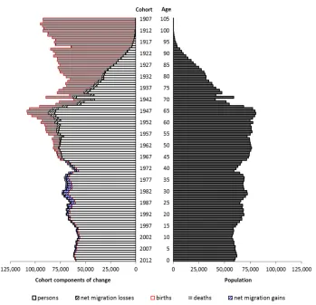 Figure 7: The components-of-change population pyramid for Finland,  31 December 2012 