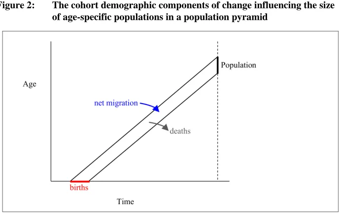 Figure 2: The cohort demographic components of change influencing the size of age-specific populations in a population pyramid 