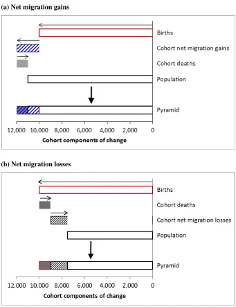 Figure 3: Representation of demographic components in the components-of-change population pyramid 
