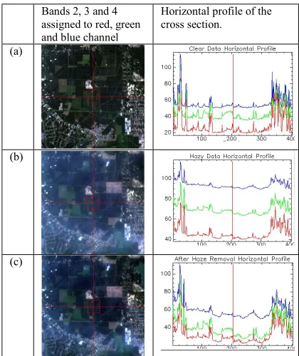 Figure 3: Masks (left) and The Corresponding Haze Segments (right) for (a) Severe Haze and (b) Less Severe Haze 
