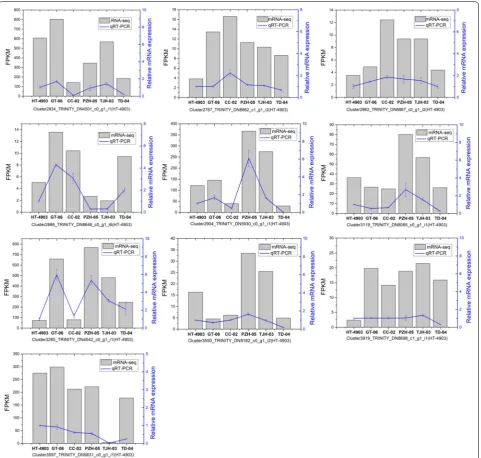 Fig. 7 qRT-PCR confirmation of 10 expressed genes in the six H. erinaceus strains. The expression patterns of selected genes were analyzed across six samples