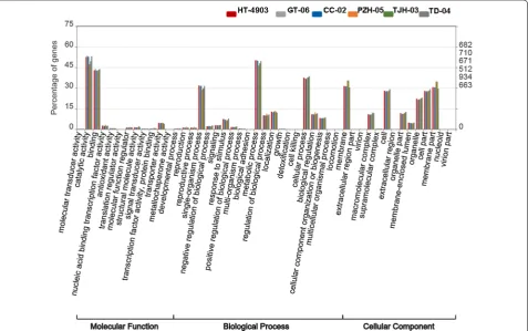 Table 2 Functional annotations of the de novo transcriptomes for HT-4903, GT-06, CC-02, PZH-05, TJH-03 and TD-04