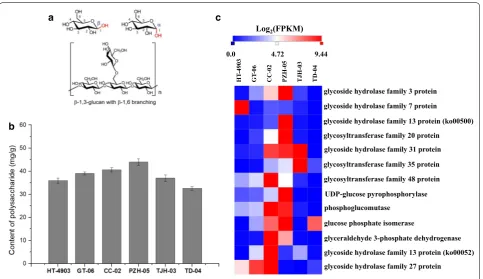 Fig. 4 The basic structure of typical mushroom polysaccharides (polysaccharide biosynthesis (a), polysaccharide content (b) and the expression of important genes for c)