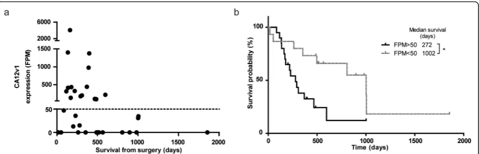 Fig. 4 Expression of CA12 is a poor prognostic factor. a CA12v1 expression levels in the positive patient samples included in panel A