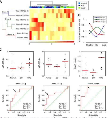 Figure 3 (A) Hierarchical clustering analysis based on human plasma miRNA profiles obtained from patients with OAC (n=8), 3 p, miR-328-3 p, miR-143-3 p, miR-144-3 p, miR-15a-5p, miR-1-3 p and miR-133b) were higher in patients with OAC (upper with BO (n=8) 