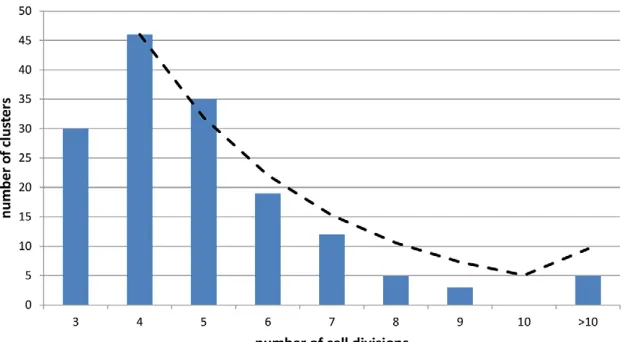 Table 2. Properties of mega-clones