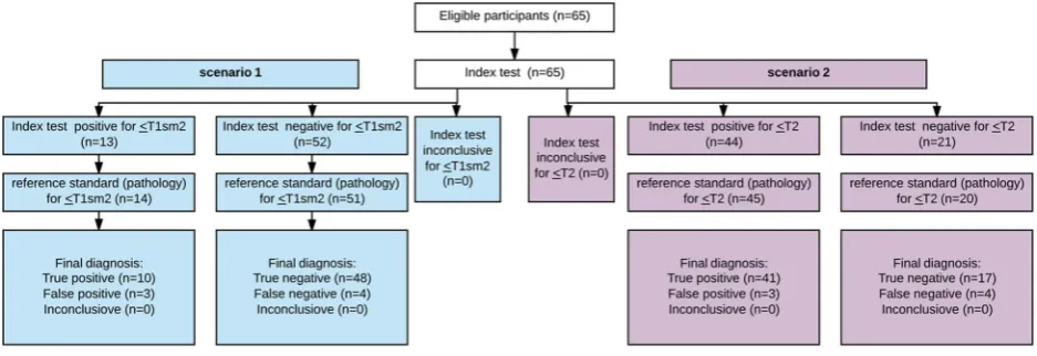 Figure 3Diagram reporting flow of participants though the study (according to STARD recommendations).