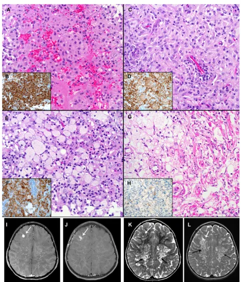 Fig. 2 (See legend on next page.)