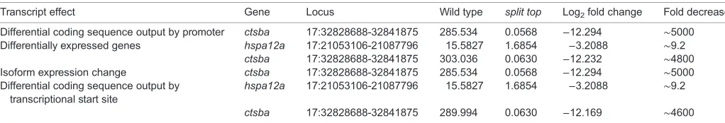 Table 1. RNA-seq analysis of split top mutant cleavage stage embryos