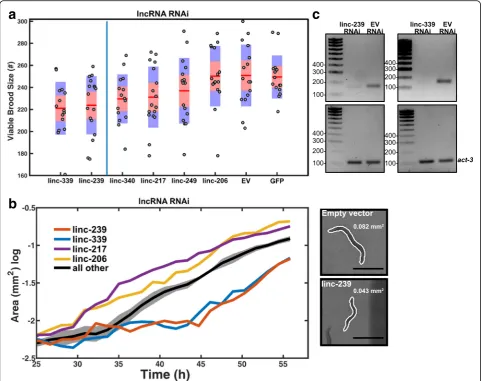 Fig. 5 RNAi-mediated knock-down of lncRNAs.multiple test (Bonferroni) correction. Samples are ordered by increasingleft of the blue line ( a Viable brood sizes are presented with their standard deviations (blue area) and the 95%confidence interval of the m