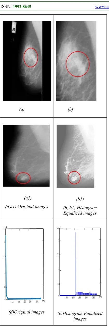 Figure 6: Show The Results by Histogram Equalization 