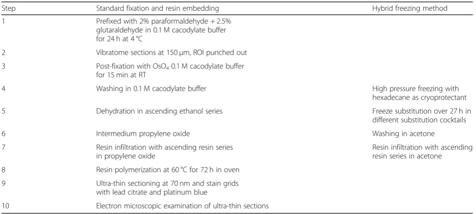 Table 2 Post-mortem brain tissue processing for electron microscopy
