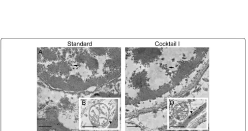 Fig. 3 Quantification of the quality of the preserved myelin sheaths with different substitution cocktails compared to standard embedding.Analysis of the quality of the myelin sheath preservation, well-preserved myelin sheaths in blue squares, disbanded my