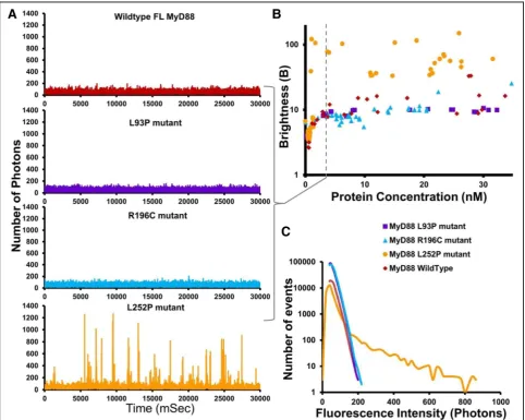 Fig. 5 Mutations in same domain lead to contrasting disease phenotypes; cancer-causing L252P mutation lowers threshold for MyD88oligomerisation