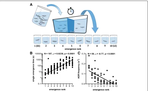 Fig. 1 Behavioural testing in zebrafish. Behavioural testing in zebrafish.emergence rank (Spearman rank test,considered a measure for risk-taking behaviour, which is a widely used proxy for coping style
