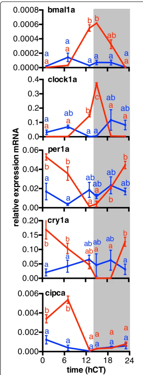 Fig. 3 The expression patterns of five clock-related genes over timeare correlated with the risk-taking behaviour
