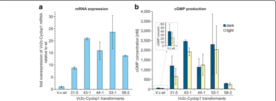 Fig. 7 mRNA expression analysis and guanylyl cyclase activity ofcalculation of the relative expression level of each transformant