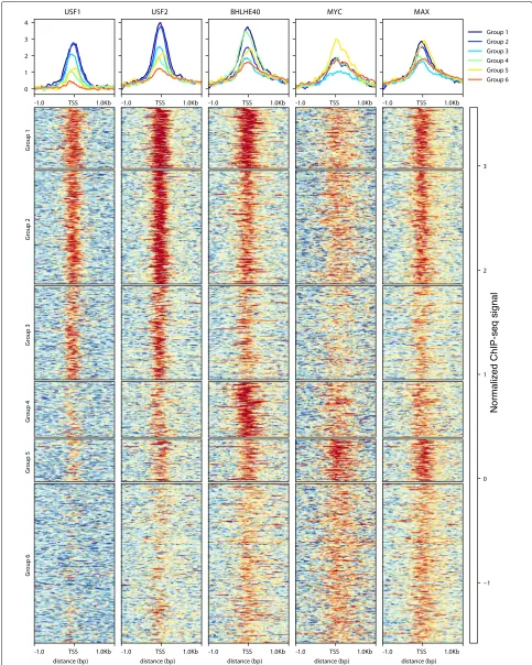 Fig. 5. Binding combinatorics in E-box containing promoter density plots and coverage patterns for ChIP-seq signals of TFs recognizing the E-box(USF1/2, BHLHE40, MYC, MAX) in ±1 Kbp window of the selected TSSs in GM12878 cell line