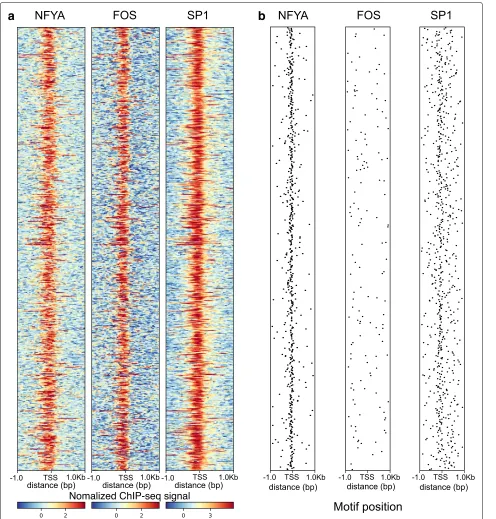 Fig. 6. Binding patterns of NFYA, FOS, and SP1 compared to motif occurrence. a Coverage patterns for ChIP-seq signals of NFYA, FOS, and SP1 in a±1Kbp window of selected TSSs in GM12878