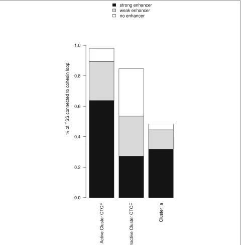 Fig. 7. Number of cohesin loops and putative enhancers Barplot for proportion of TSSs that form cohesin loops in the active CTCF cluster, theinactive CTCF cluster and the active cluster Ia