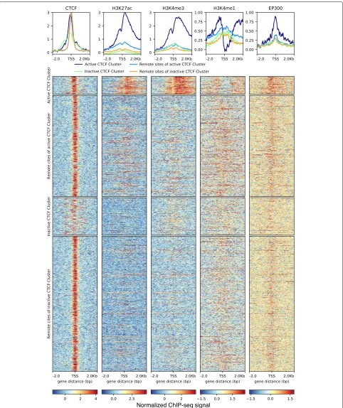 Fig. 8. Histone modifications in promoters in active and inactive CTCF clusters shown together with their ChIA-PET-derived interacting regions Therow “Active CTCF cluster” shows coverage patterns of the active promoters in the CTCF cluster