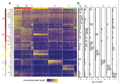 Fig. 1. Visualization of the biclustering result for active promoters in GM12878 cell-lineordered according to the biclustering and displayed as a heatmap