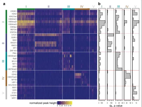 Fig. 2. Visualization of the biclustering result for inactive promoters in GM12878 cell-line.the a ChIP-seq tracks (rows) and promoters (columns) areordered according to the biclustering and displayed as a heatmap