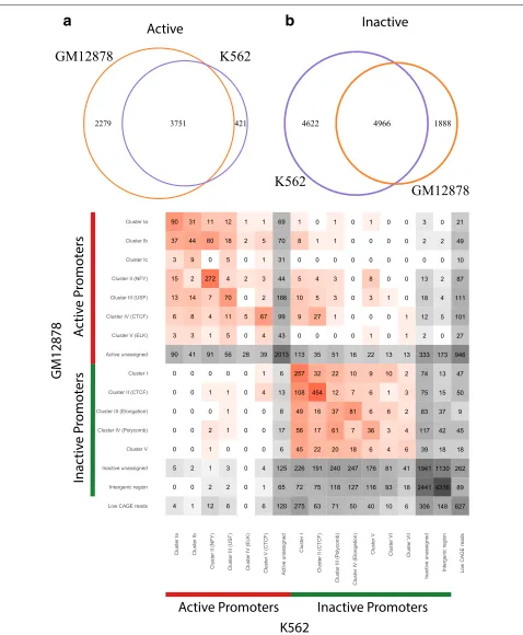 Fig. 4. Comparison of promoter assignments between GM12878 and K562 cell-lines.GM12878 and K562 cell lines shown as Venn diagrams.matrix cell indicates the number of genes that belonging to that row (cluster) in the one cell line and that column (cluster) 