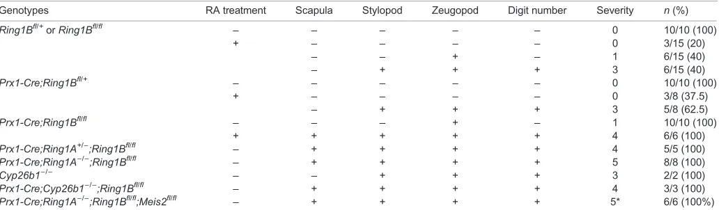 Table 1. Summary of forelimb skeletal deformities observed in Ring1A/B mutant and/or excess RA-treated mice