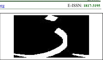Figure 3. Character image with a remnant [17]. 
