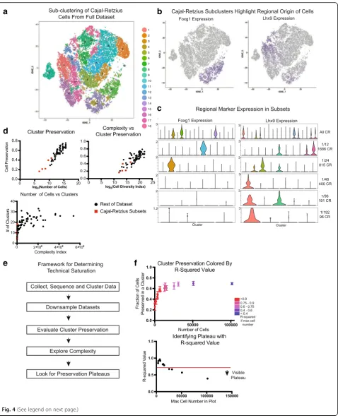 Fig. 4 (See legend on next page.)