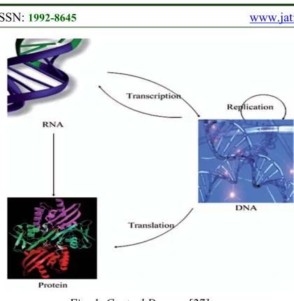 Fig. 1. Central Dogma [27] 