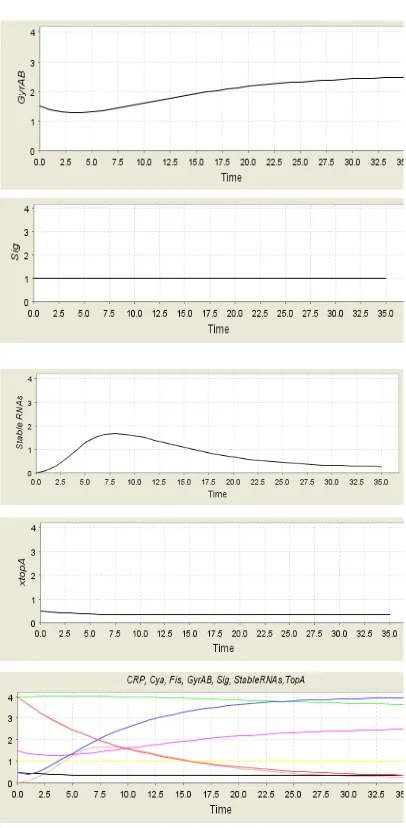 Fig. 13 shows the Simulation results of the protein concentrations, in case of having Signal