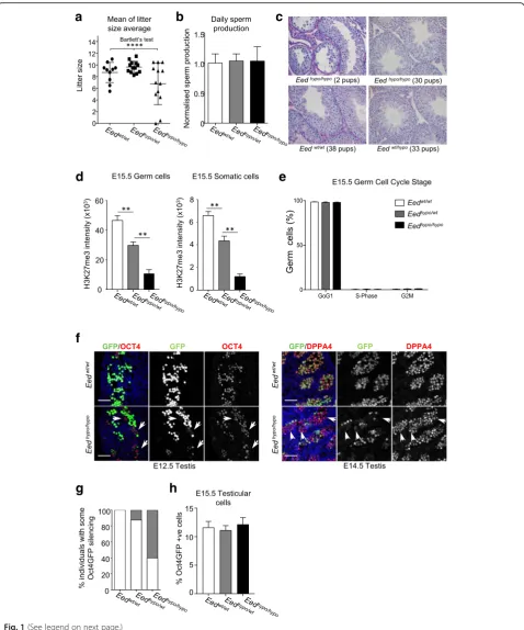 Fig. 1 (See legend on next page.)