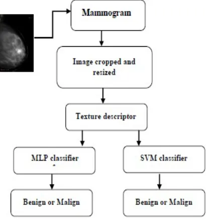 Figure 2 summarizes different stages of method developed in this work.. 