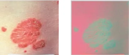 Figure 2: RGB image converted to L*a*b color space.  
