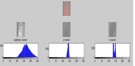 Figure 6: The histogram for three channels. 