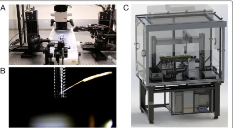 Fig. 8. Automated array construction and high-throughput fluorescence imaging.section arrays