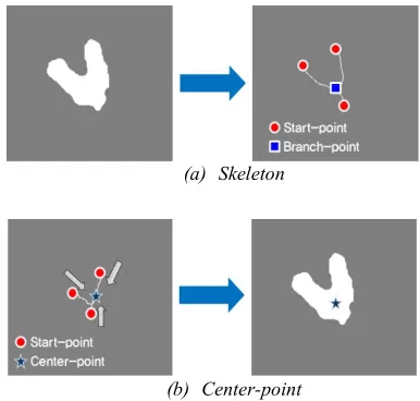 Figure 3: Illustration Of Extracting A Center-point (2-pig Sequence). (a) Finding The Skeleton Using MAT
