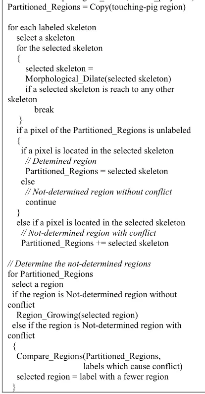 Figure 7: Region-based Segmentation Algorithm. 