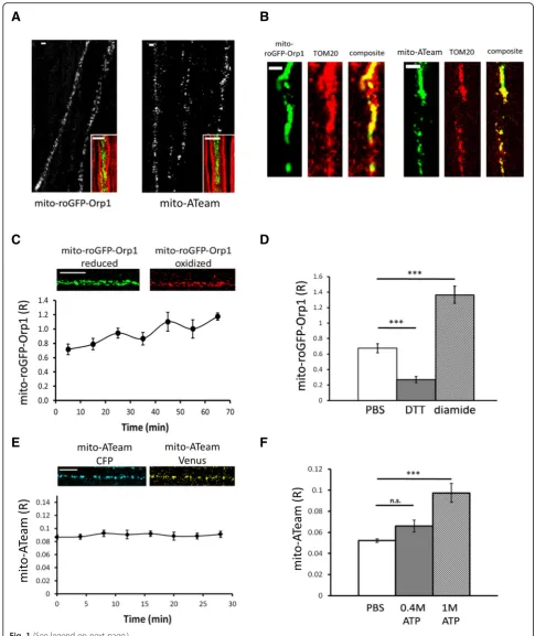 Fig. 1 (See legend on next page.)