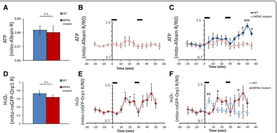 Fig. 4 ATP and Hntype (Fig.non-significant increase; the second stimulation period did not generate any change (pre-stimulation values (R/R0) following two successive nerve stimulation periods (black bars at the top)